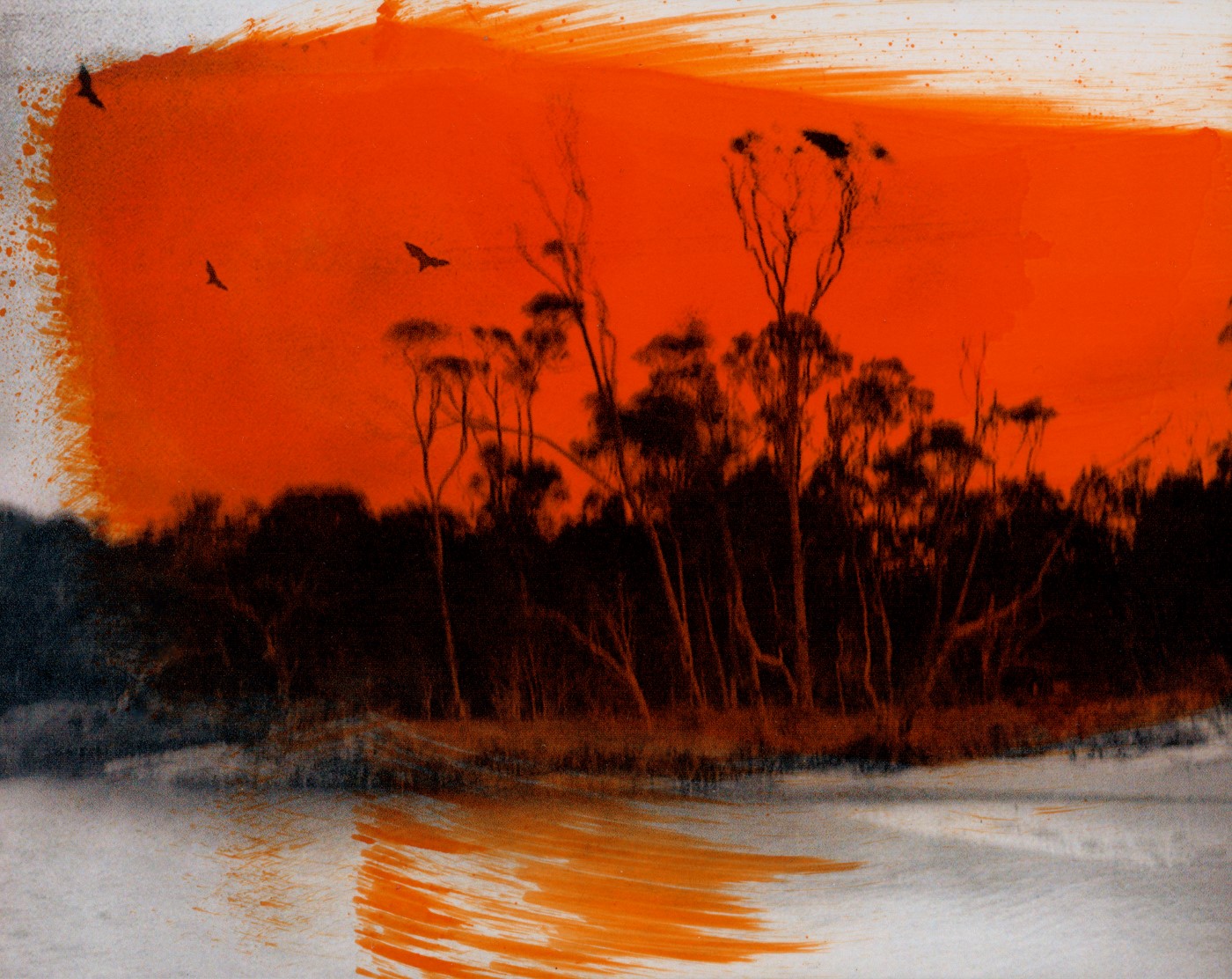 Aletheia Casey, New South Wales south coast Australia, 2019-2020. Courtesy the artist